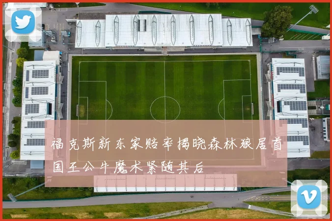 福克斯新东家赔率揭晓森林狼居首国王公牛魔术紧随其后